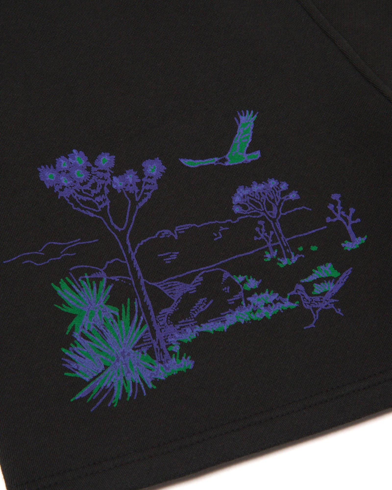 National Park Welcome Fleece Short | Vintage Black