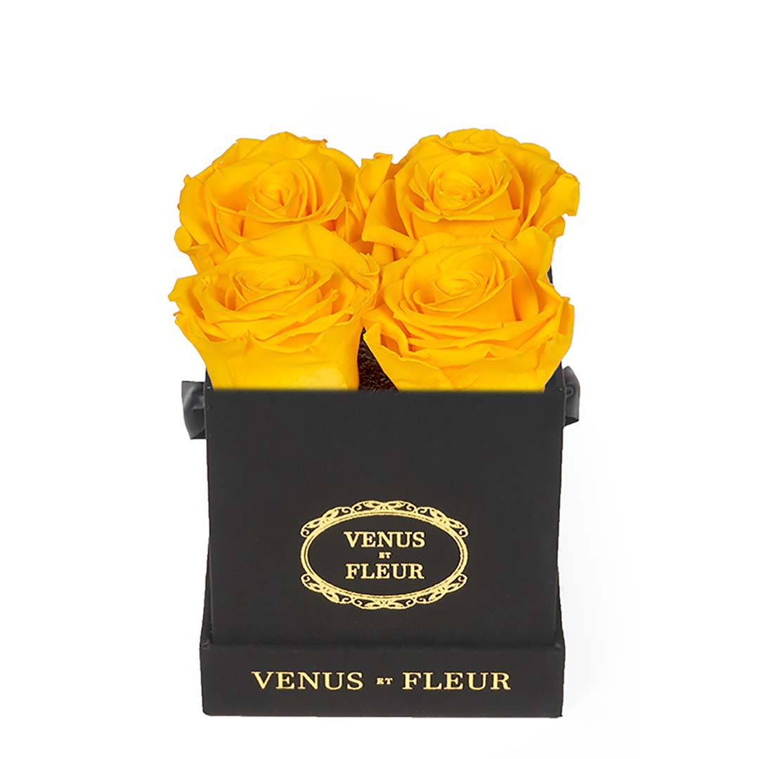 Le Petit - Black Suede | Yellow