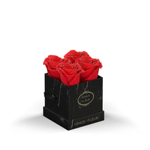 Le Petit - Black Marble | Red