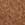 CHESTNUT
