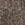TAUPE Swatch