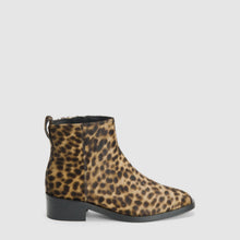 SPOTTED LEOPARD