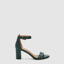 DARK TEAL
