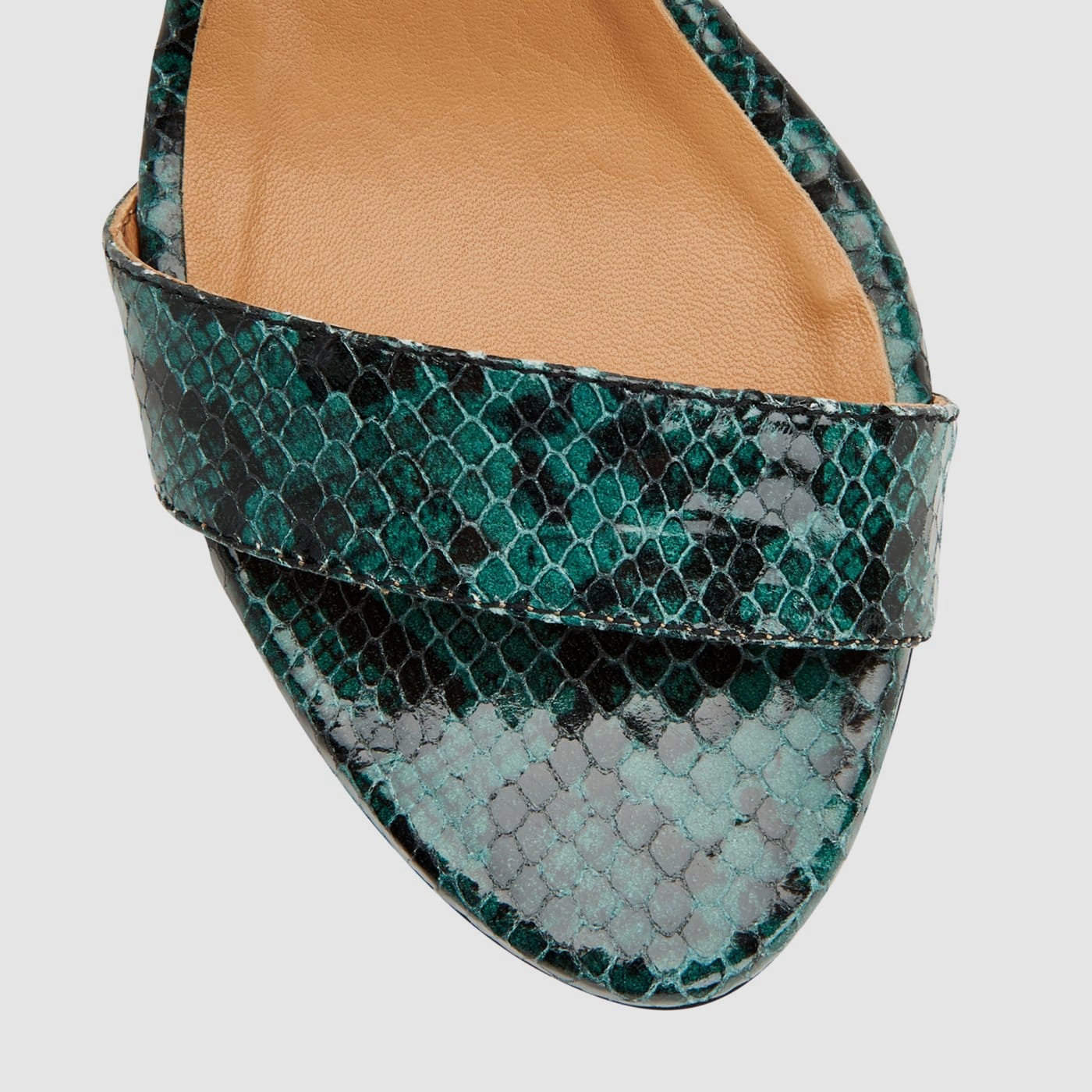 DARK TEAL