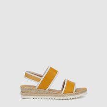 FLAX