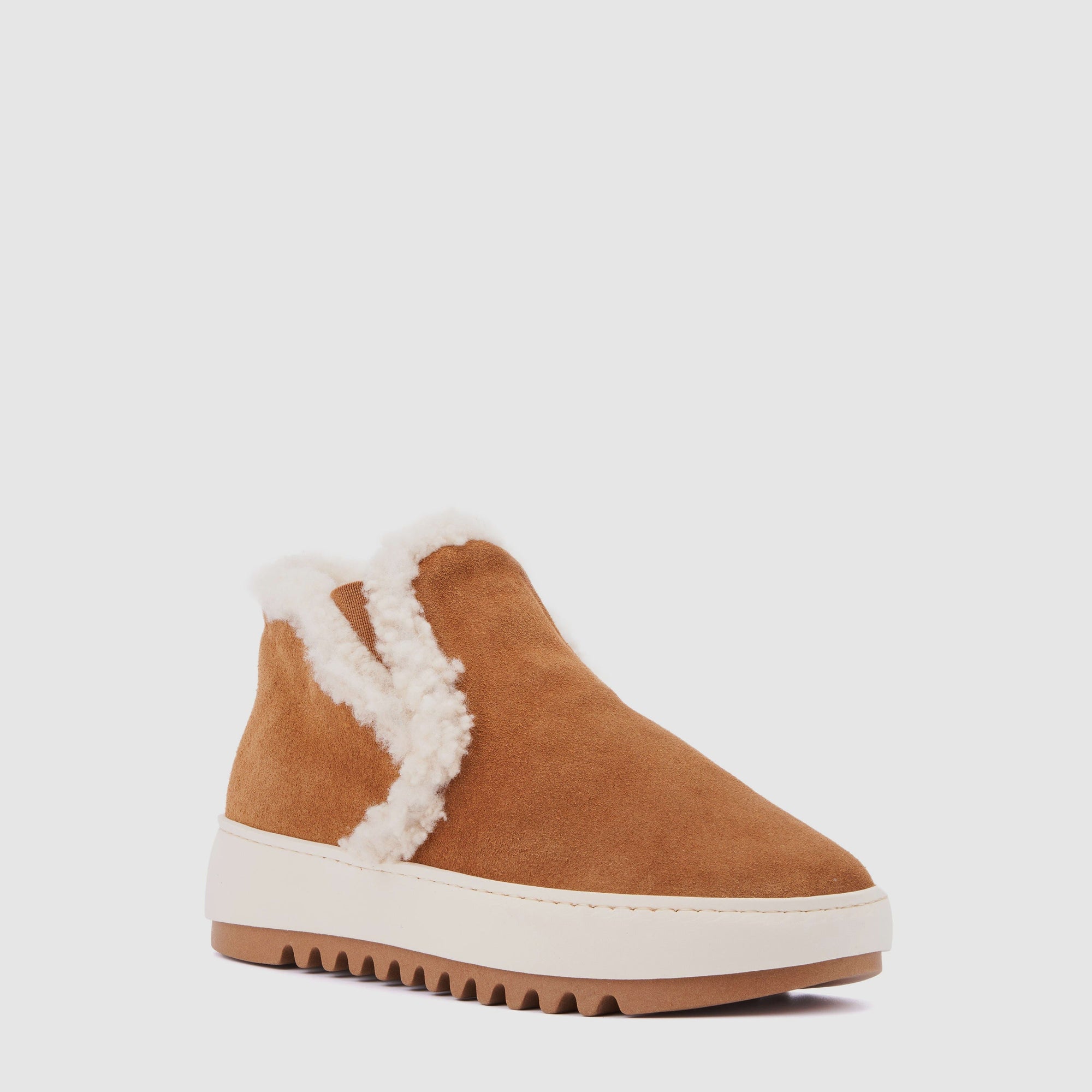 CAMEL