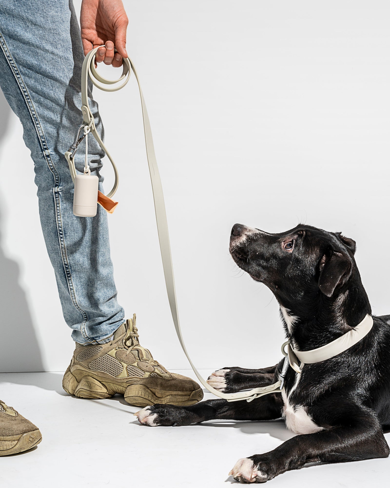 Gray | Dempsey, Lab Pit Mix, 55 lbs, Wearing Large