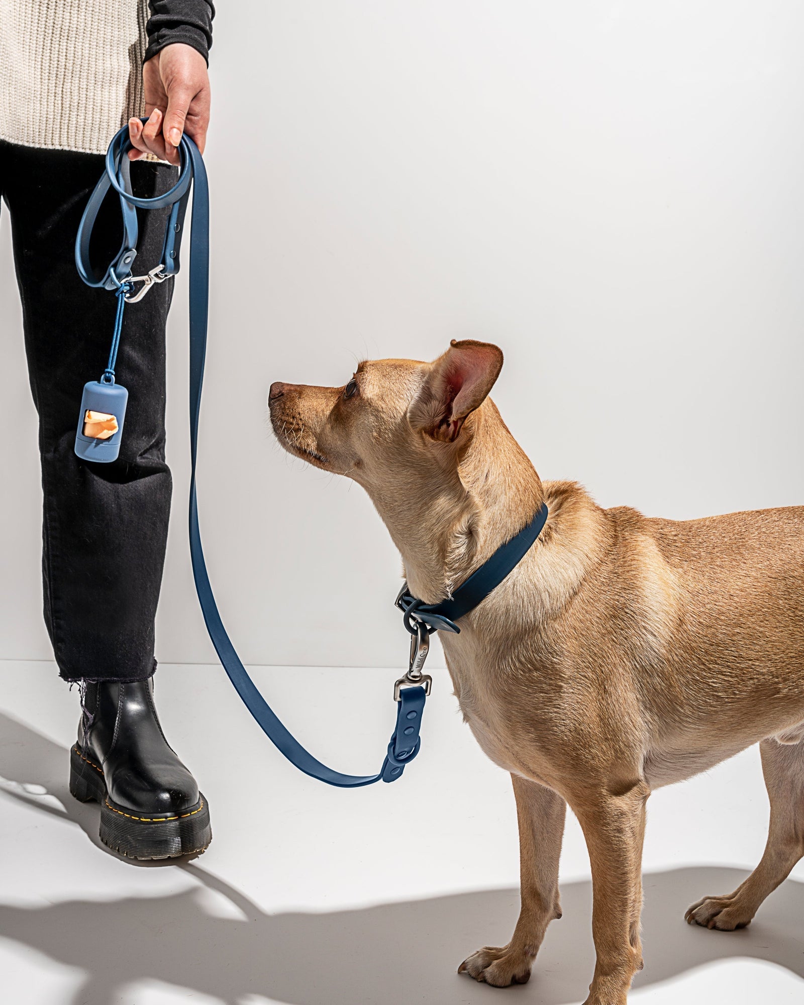 Navy | Oliver, Chihuahua Mix, 27 lbs, Wearing Medium